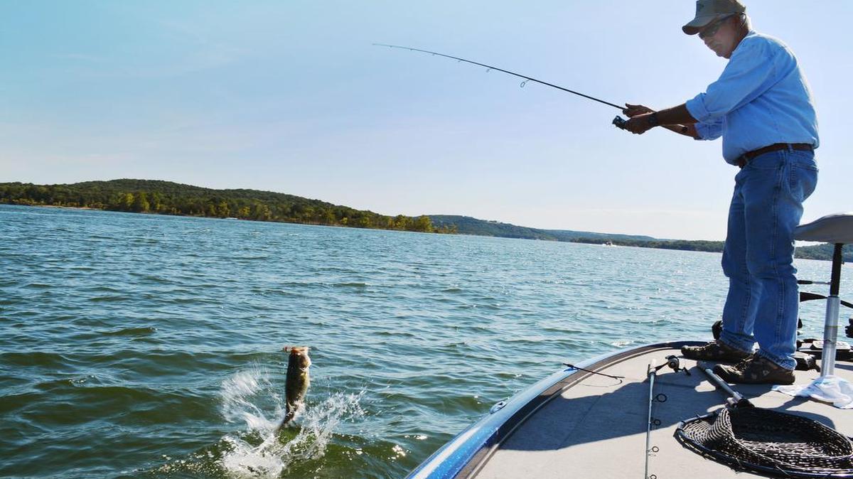 
Keith Greenough, a guide on Table Rock Lake, knows the best is yet to come for Kentucky bass fishing: He says late fall and early winter are the best times to snag a big one. 
