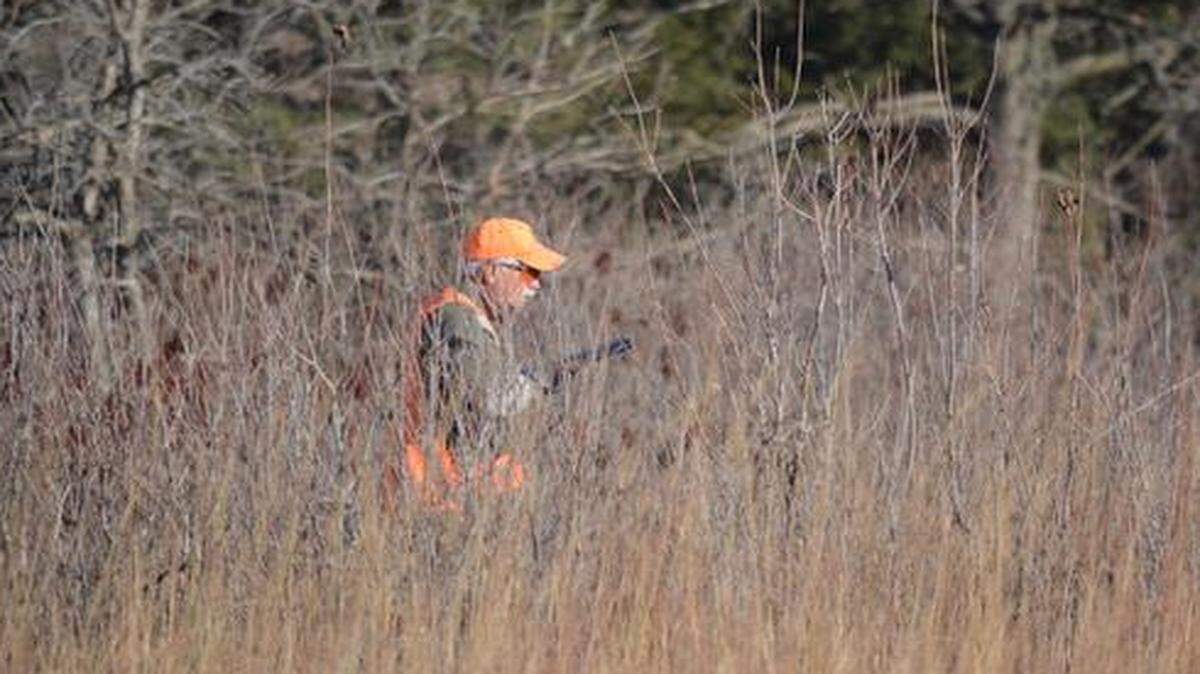 
John Hill fought his way through head-high cover as he hunted for quail Tuesday on the Fort Riley army base in northeast Kansas.
