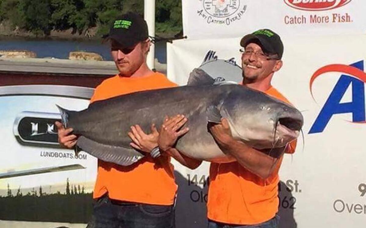 
Anthony Jacoby (right) caught a 98-pound blue catfish with the help of his friend Derek Allen on the Missouri River last weekend in Atchison, Kan. They were competing in the Midwest Classic championship tournament sponsored by Kansas City Catfish.
