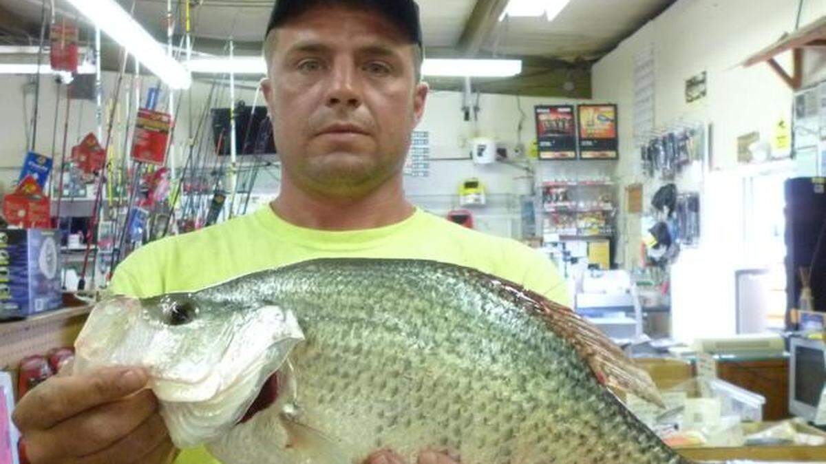 
Danny Calvert was fishing for baitfish when he visited a farm pond recently. Instead, he caught a 3-pound, 10-ounce crappie.
