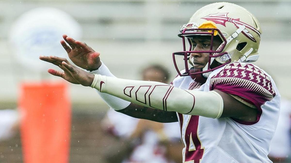 
Quarterback De’Andre Johnson was dismissed from the Florida State football team earlier this month after a video showed him punching a woman at a bar. 

