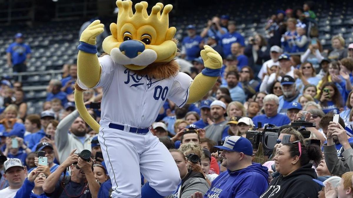 
Kansas City Royals mascot Sluggerrr danced across the dugout roof during Tuesday’s Royals’ rally and public workout.
