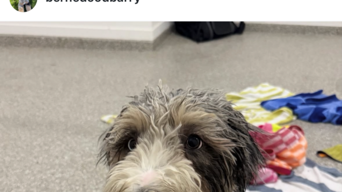 Barry