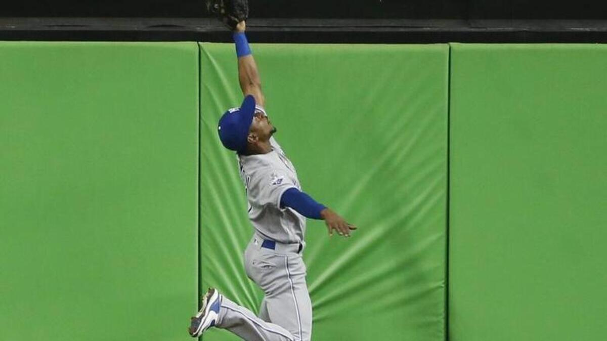 Kansas City Royals center fielder Jarrod Dyson climbed the wall as he robbed a home run against the Marlins.