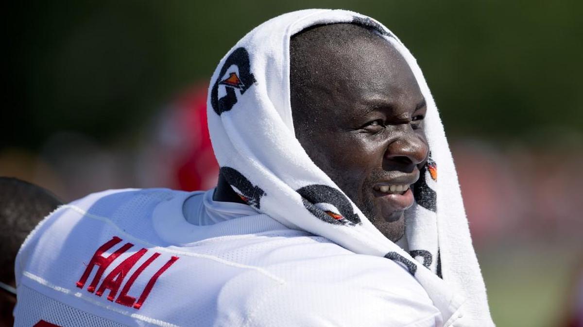
Kansas City Chiefs outside linebacker Tamba Hali.
