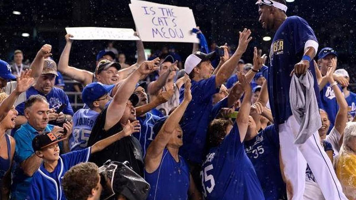 
Kansas City Royals outfielder Jarrod Dyson celebrates with fans atop the dugout after the Royals beat the Oakland Athletics in the 2014 Wild Card Game.
