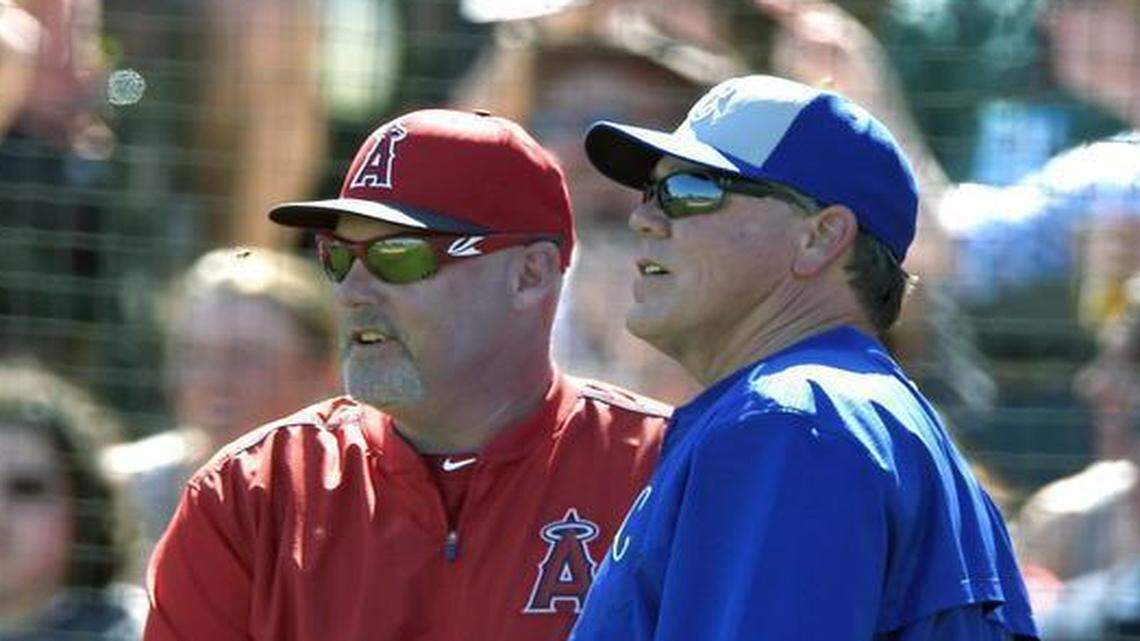 
Kansas City Royals manager Ned Yost and Los Angeles Angels pitching coach Mike Butcher watched a swarm of bees during Sunday’s game.
