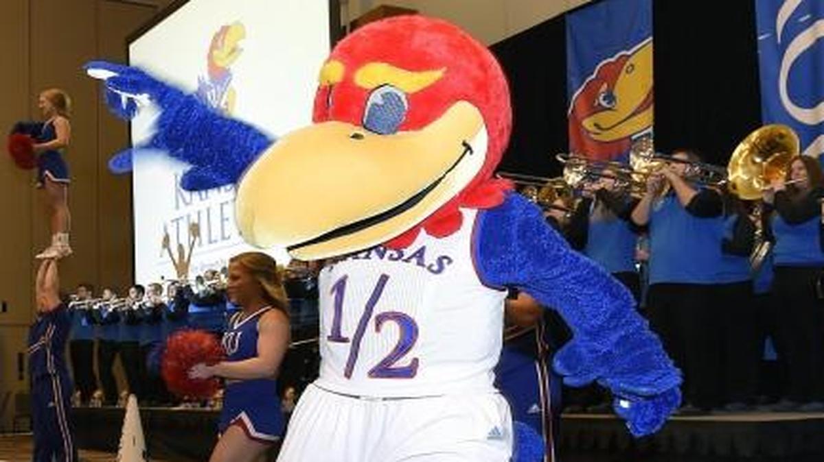 Kansas mascot Baby Jay.