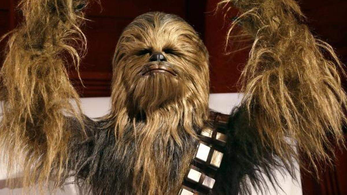 
Chewbacca is not in this video, but he rocks.
