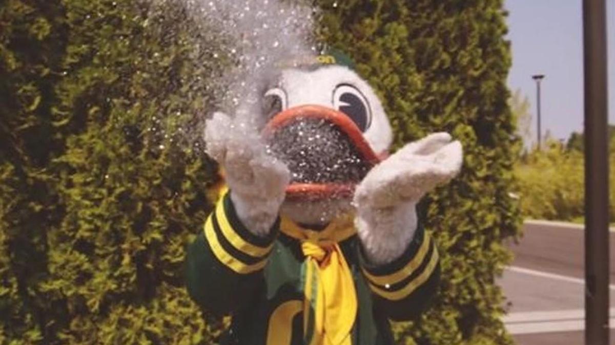 
Oregon Ducks mascot Bubbles wants to recruit new members, too. 
