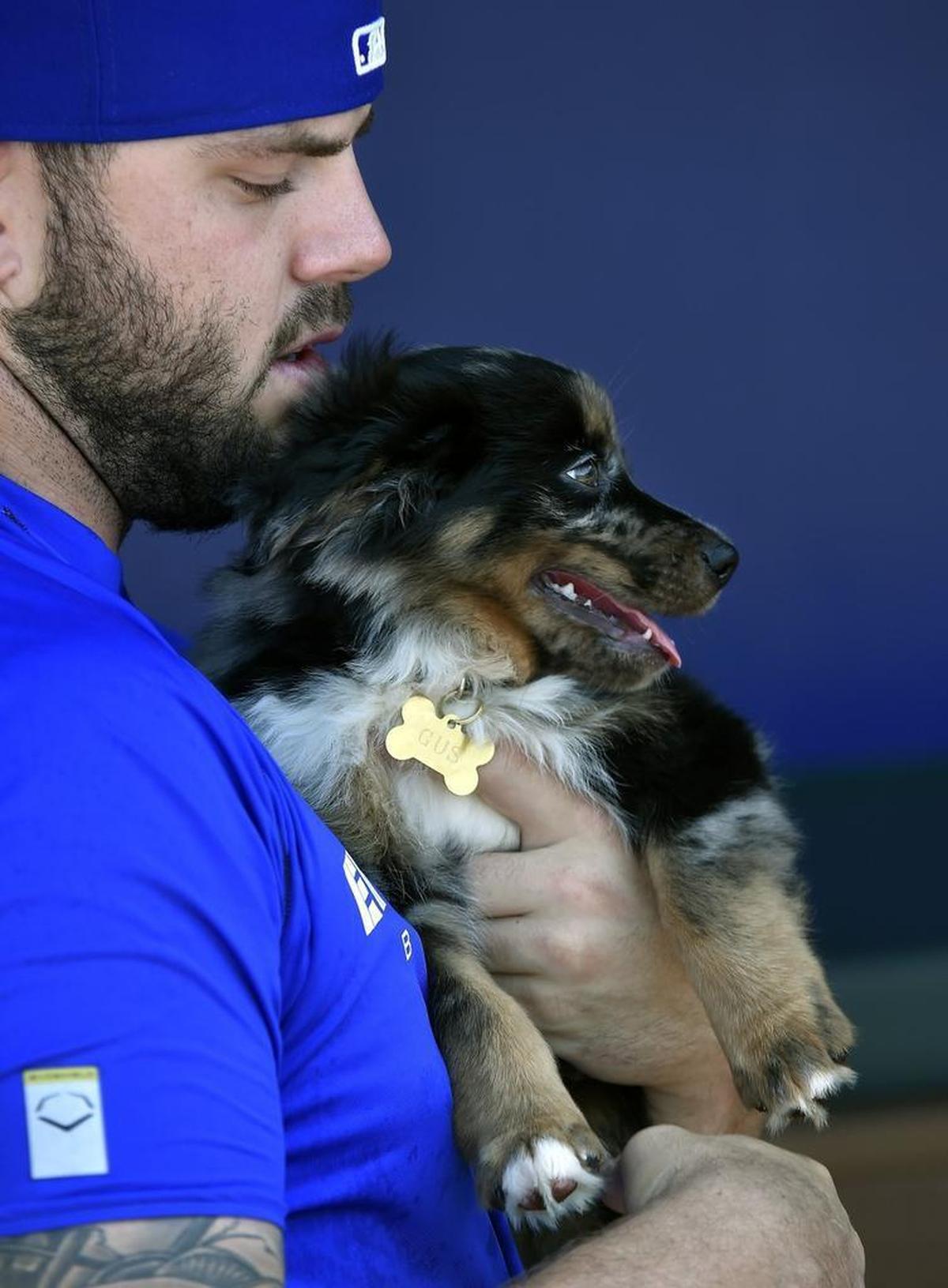 Who doesn’t remember that summer day two years ago when Moustakas introduced us to his new pooch, Gus?