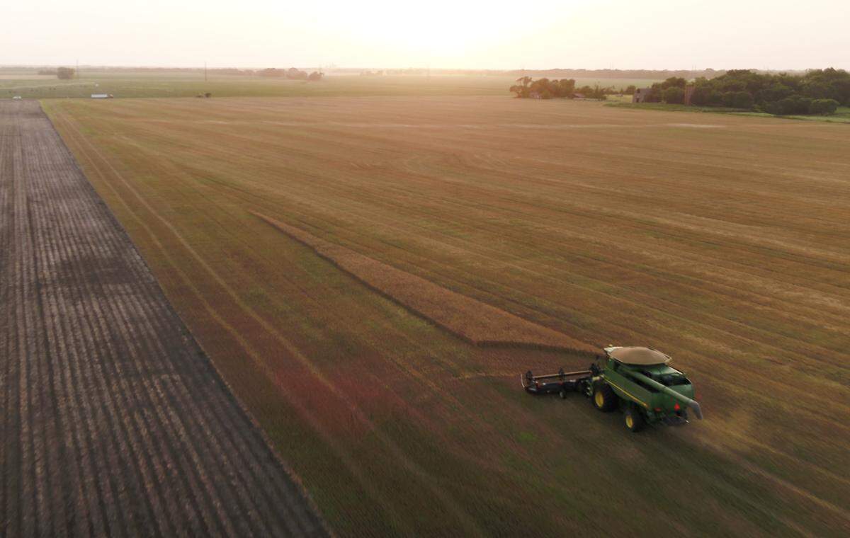 A farmer harvest wheat in Sumner County, Kansas.