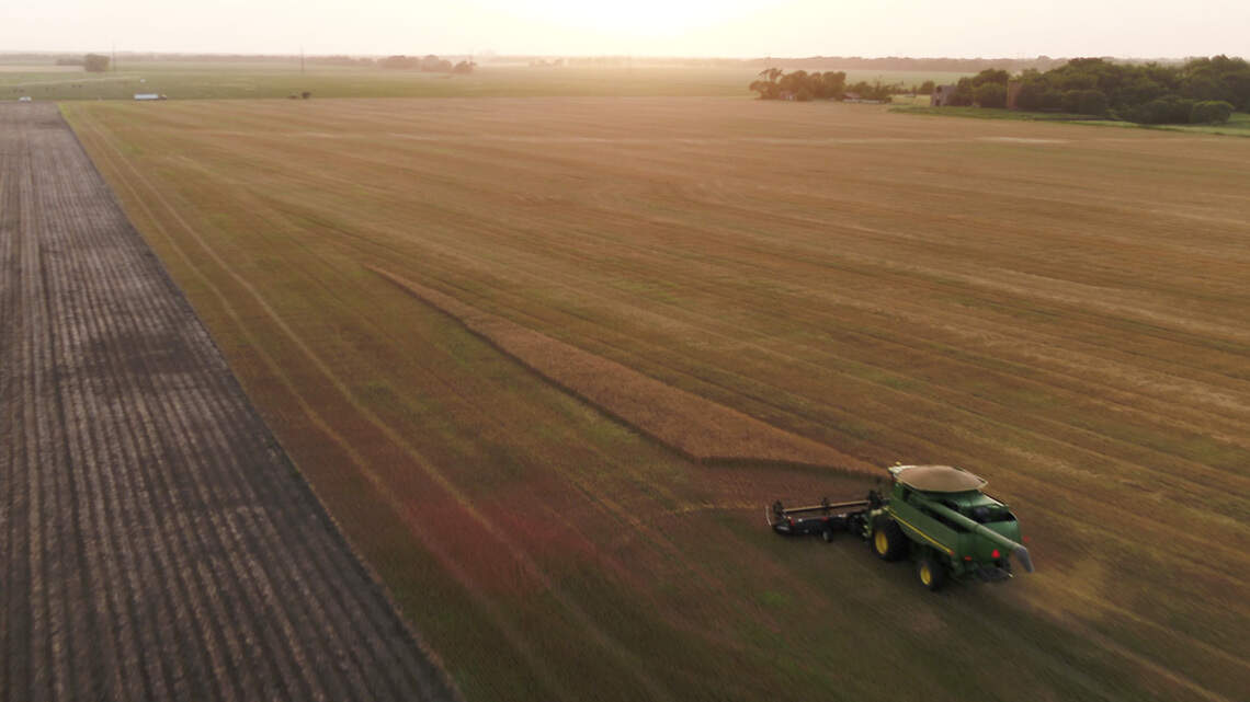 Trade and immigration chaos threatens Kansas agriculture | Opinion