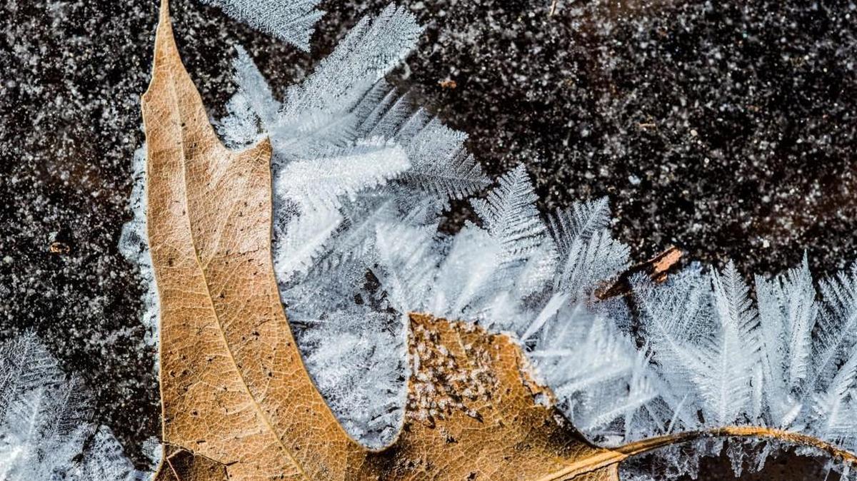 The coldest day of the week still lies ahead for the Kansas City metro area but those who hate the frigid temperatures shouldn’t despair — warmer conditions are on the way.